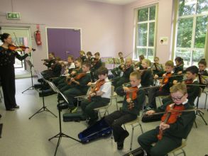 Violin in School