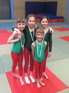 Gymnastics Competition